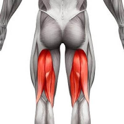 Caso de estudio: Rehabilitación isquiotibial